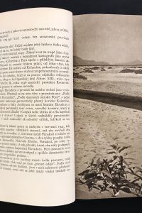 6D574091 0DDF 4E2F BE71 009DD91C864C