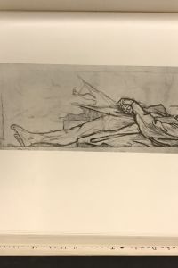 8FD01056 4FCB 4C33 9E36 47CE6BD670BC