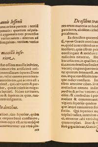 53E55471 B875 4C96 BCB8 F75AB2DA9ADB