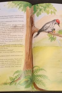 C57A22CA C675 423B 8E82 3941BD479809