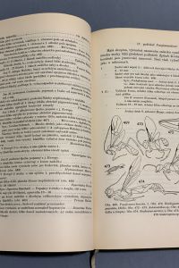 6481F4C6 BA54 45C8 B806 7D217143D62D