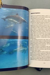 DBE56F28 14FD 4116 AC65 46AFF9287832