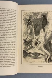 667629E3 46D0 4E45 A1AA 24505DFA0F32