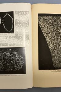 45C401C1 6B1C 4F5B 8B1F 1D42955D9D09