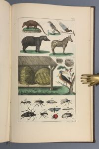 2556D2E7 E159 47D7 A07F 5F101E5D6A77