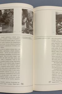 FFBB8FBA 0FBA 4899 97B4 DD1BE38AEBCC