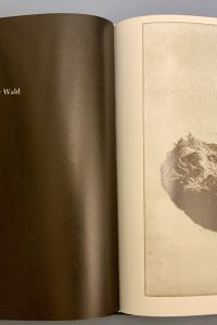 13A8EDEA C9FB 4DFA 8B3C 9036FE356C86