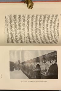 8B1A5B63 3E1F 47AD 82A2 6EFCB96EF9A7