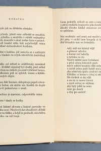 00435B24 1E44 493B BB02 1DE80958A21C