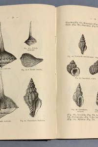 DDA051B4 57D9 4E35 BFFF 340F4556B6BB