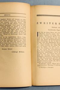 F9B74A45 D582 49C3 BC5C 1D72C95AEE29