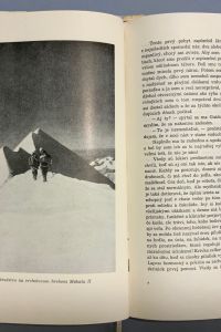 IMG 7421
