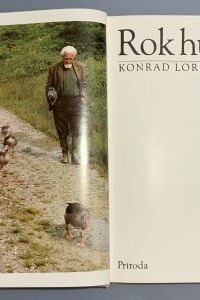 2CBA304E 6EA8 48E9 90C5 72870B58A069