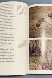 F0092437 D446 4E6E AA2C 275CE58D4F41