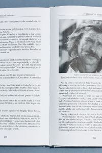 07EC2E26 2B44 454B 930F A8173F40D085