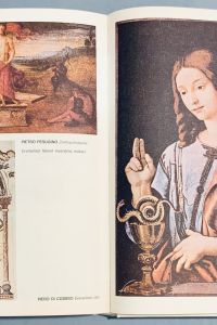 867DC991 EBF1 47CD B87F 33F395C1FD1D