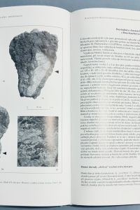 06A062B8 25AE 4DCD 9984 C2F4BE38816C