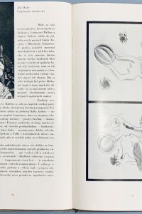 85AFDD95 FA9C 4CB3 B480 3E0C3F5F87ED