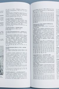 BB4F3CF3 4B89 44DA 934C 8A95460B6065