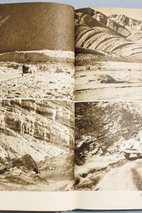 C3DCBCCD 1761 42F9 9895 2A3DED881D0C