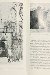 B0065909 6748 4986 A128 B6F00C687F61