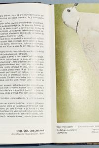 68C2856E 35FF 45DA 8032 3B16DBEF56DA