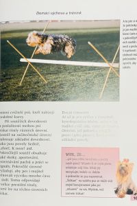 19092133 FB1C 466D A00B 8A1FD6C459B1