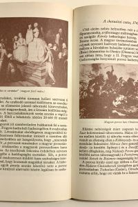 71807928 A869 4FD7 AD02 06F4E3AD72F6