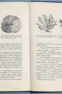 89B7BC8A 9E47 480F BA62 E72E7D3E7D77