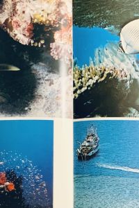 E6B695EA 9E9D 4CBD A4A8 E83EAFE252B7