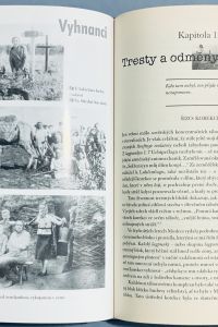 5115210E 61E9 402D 97C1 A8FC3B4A4957