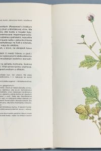 914627E0 5F0D 40A6 80C0 057827B8DAC4