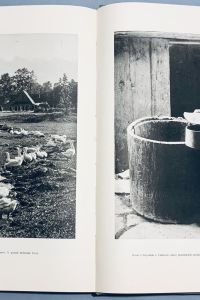 7E3CDCBC 109D 45EF 8E9C 9D4D97B3DA4F