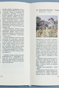 1A7B9D8B ABDE 4FBB B30E 6E1C75DE6A7F