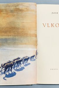 92B2C323 01BE 4699 80B2 61C0A6128269