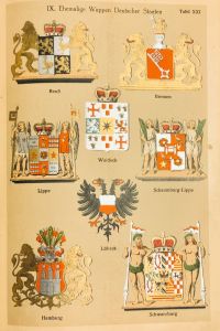 B87668B5 8812 4DD2 A723 449374CAC00F