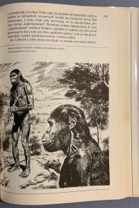 86514250 D21F 4D9E 8E4D 13872EF4674D