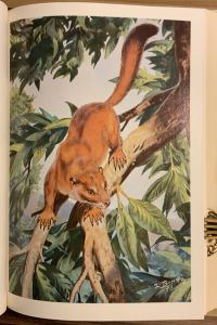 D8FD18E3 025C 4A06 B9AE 1C39096ECF7C