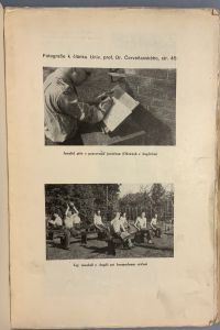 3B100C8B 19D7 4821 95D7 62821964BCDB