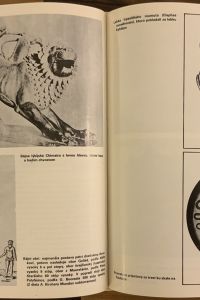 C9602834 FFB7 4018 BF93 B67DBD4F4F03