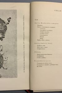 3C35344C 519D 43AA B35A C7CC3407E01B