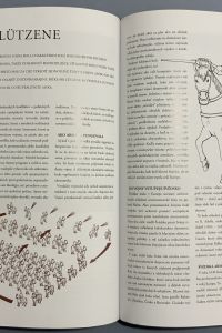 8994B2C7 AF40 4D31 82CF A6E353F49BCB