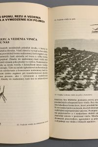 6D1D0CA6 CC0A 428F AA75 E3E512D8D455