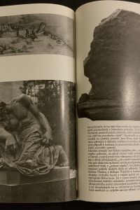 7DE71C10 90D7 49AB B44B F8A36C9988B4