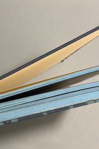 41581207 6BF6 48BB 8E03 5A343F1C29E8