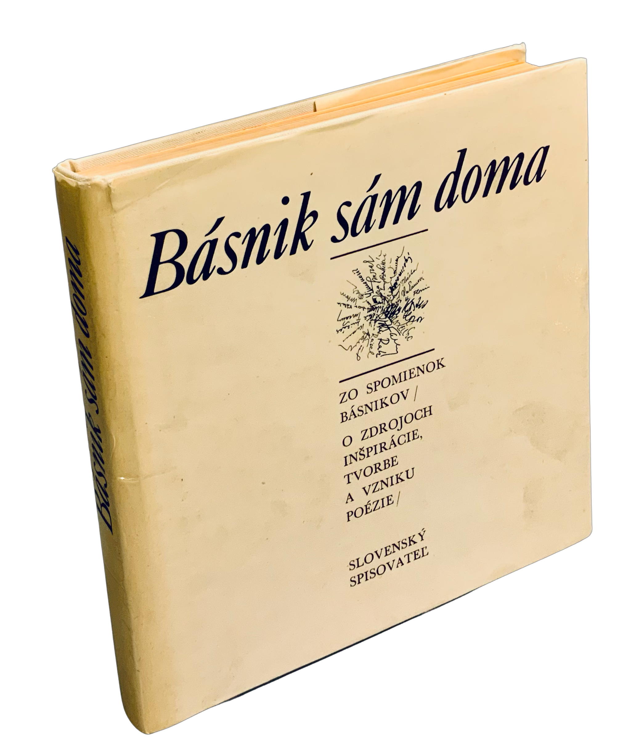 Básnik sám doma