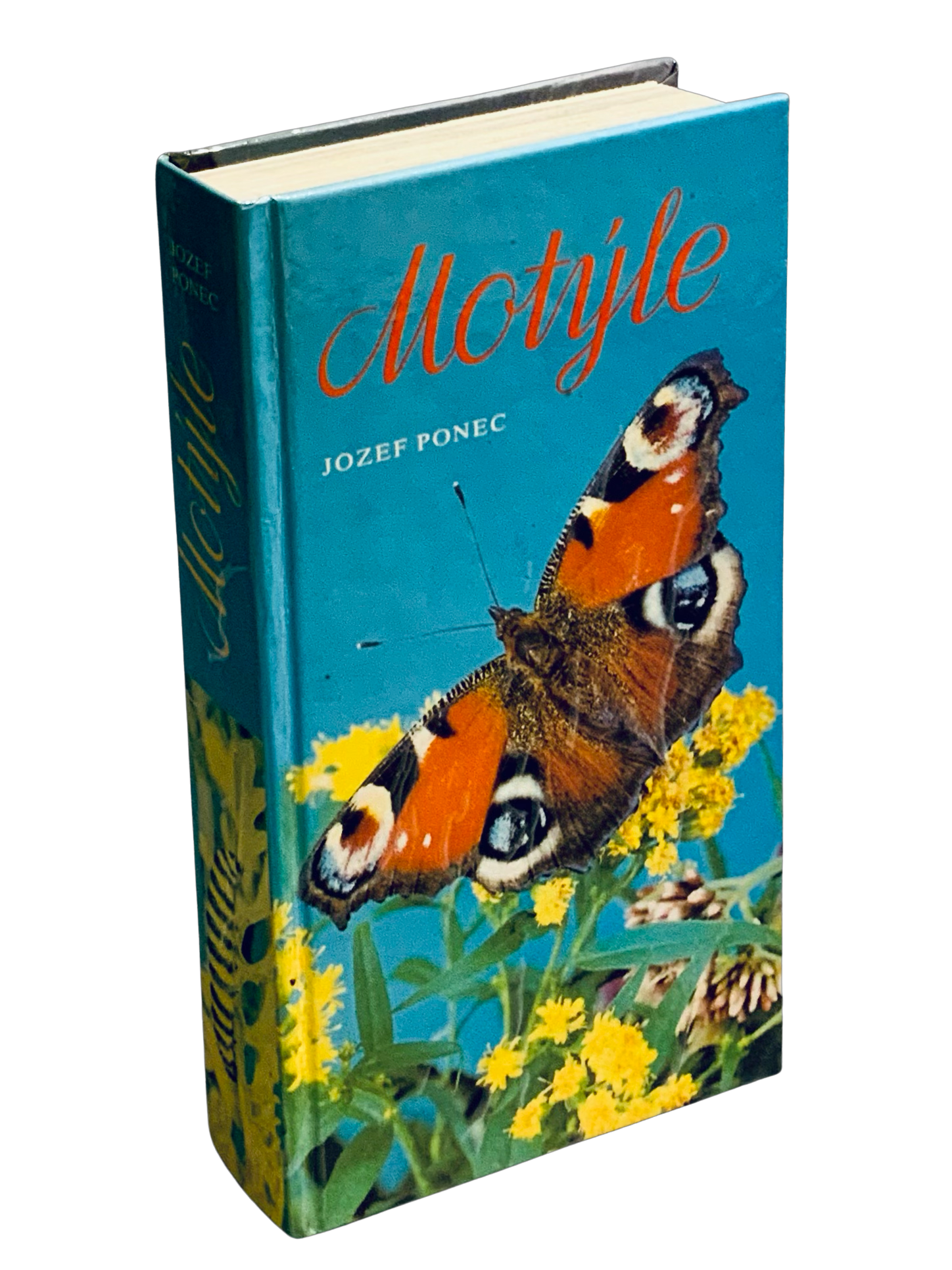 Motýle