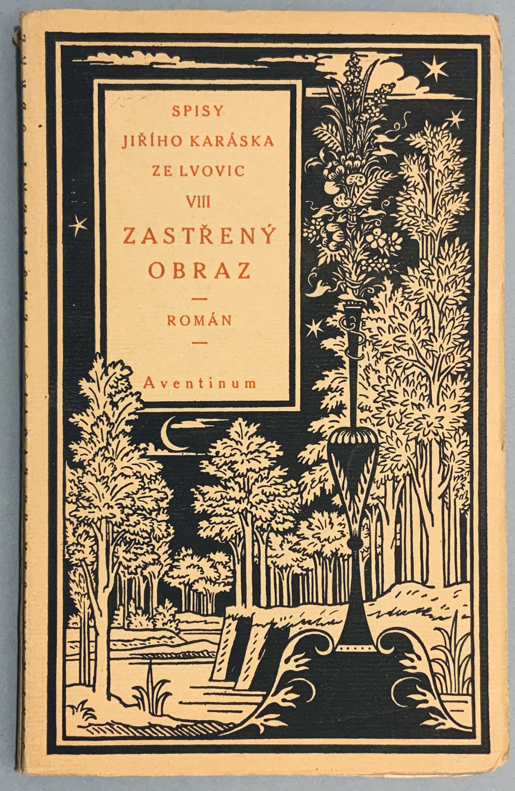 Zastřený obraz. Román