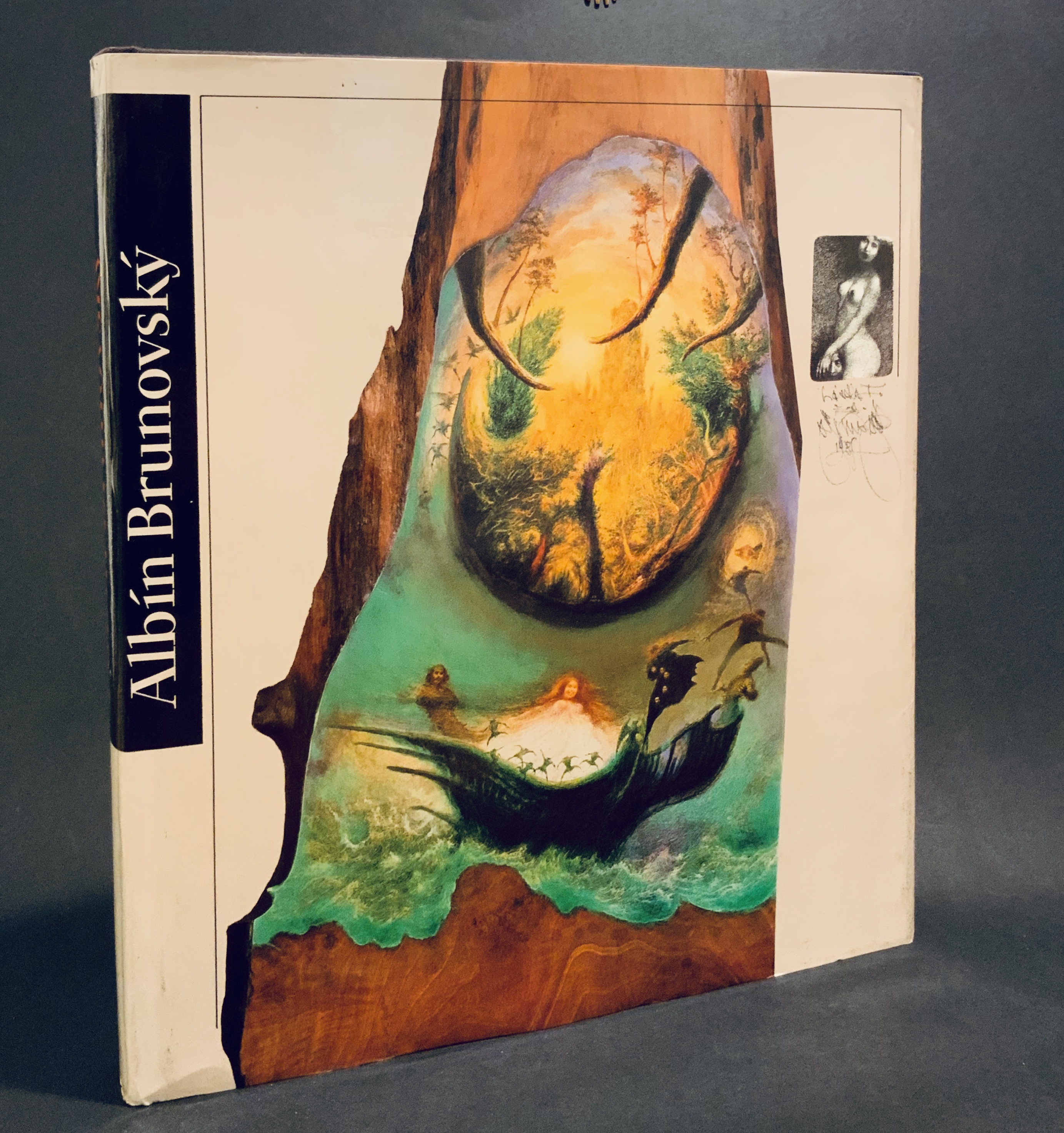 Albín Brunovský - Monografia 