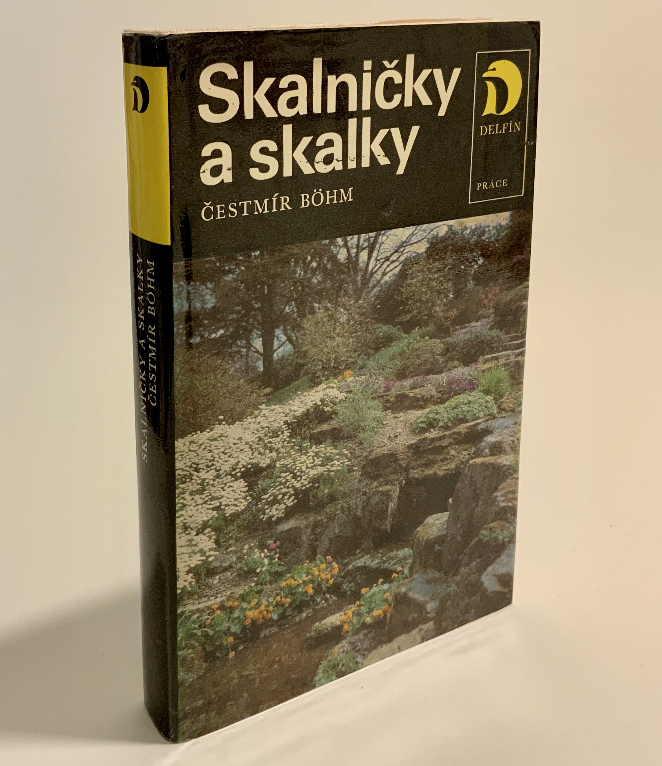 Skalniťky a skalky